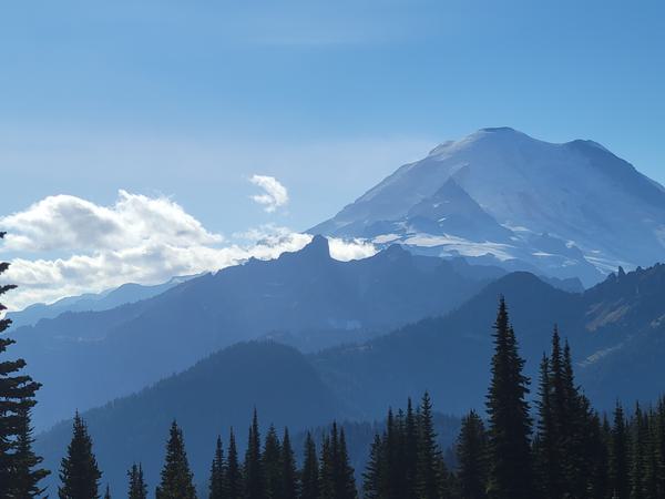 mt_rainier